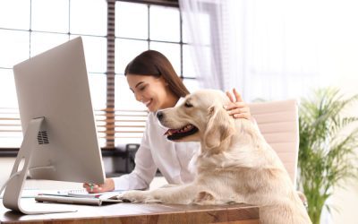 Top Tech Needs for Remote Work