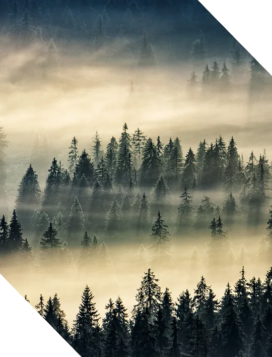 AWS Marketplace thumbnail