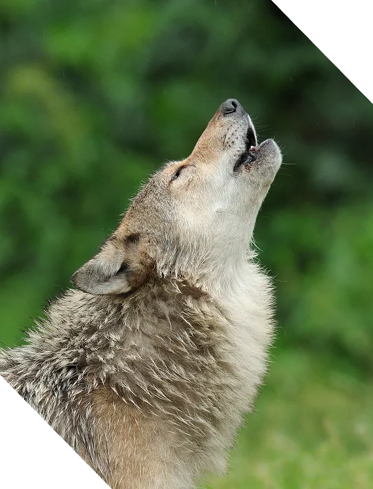 data and analytics graphic