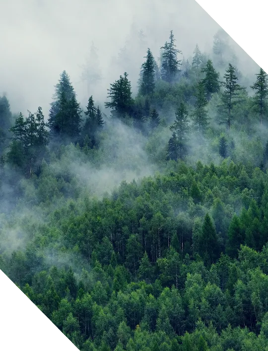 GenAi graphic thumbnail