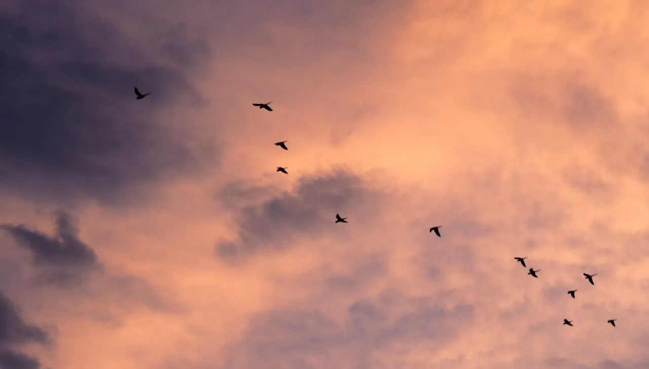 On-Premise to AWS Cloud Migration: A Step-by-Step Guide