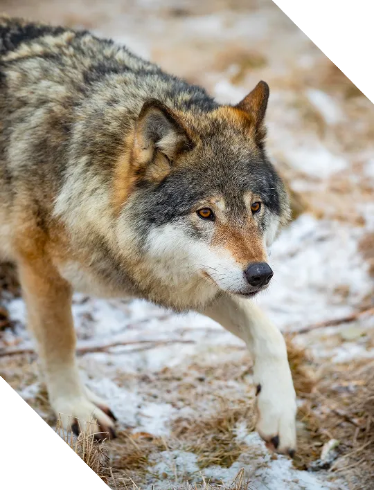 Continuous Performance & Cost Optimization